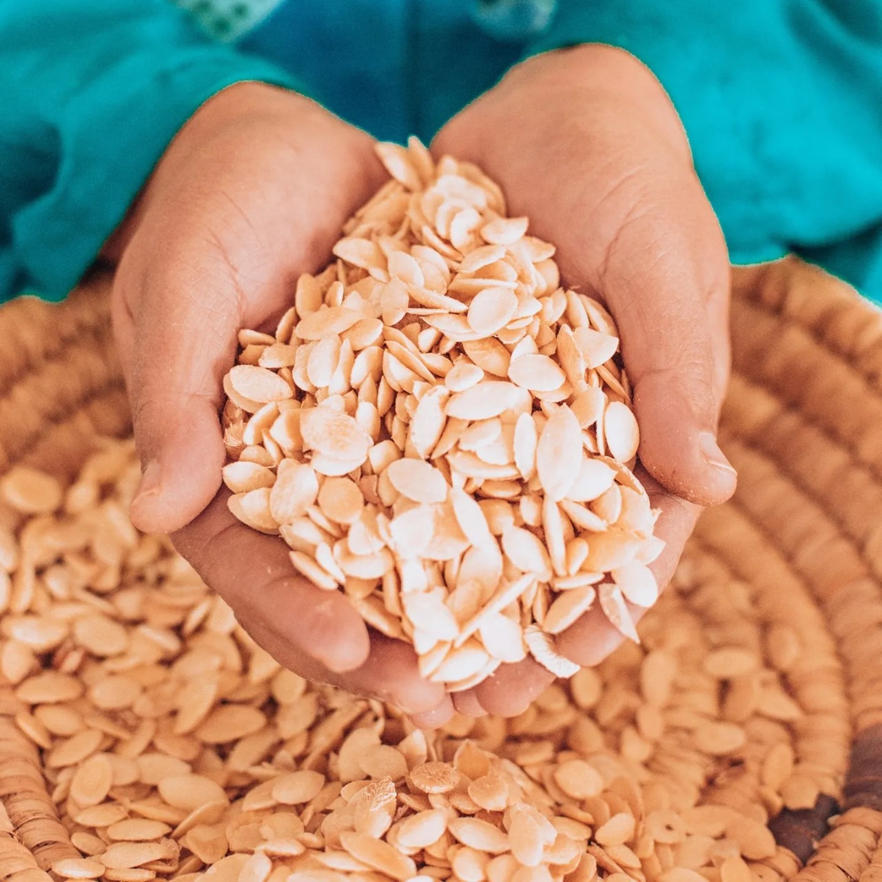 Where to Buy Argan Oil in Morocco â€“ The Complete Guide 2026