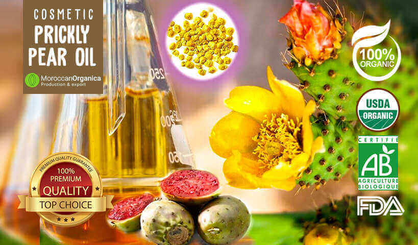 organic-prickly-pear-seed-oil-wholesale